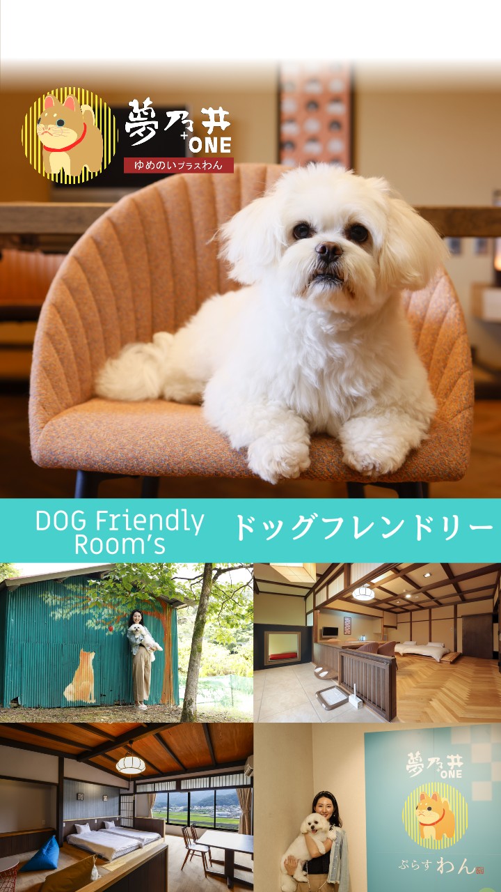 愛犬と泊まれるドッグフレンドリールーム