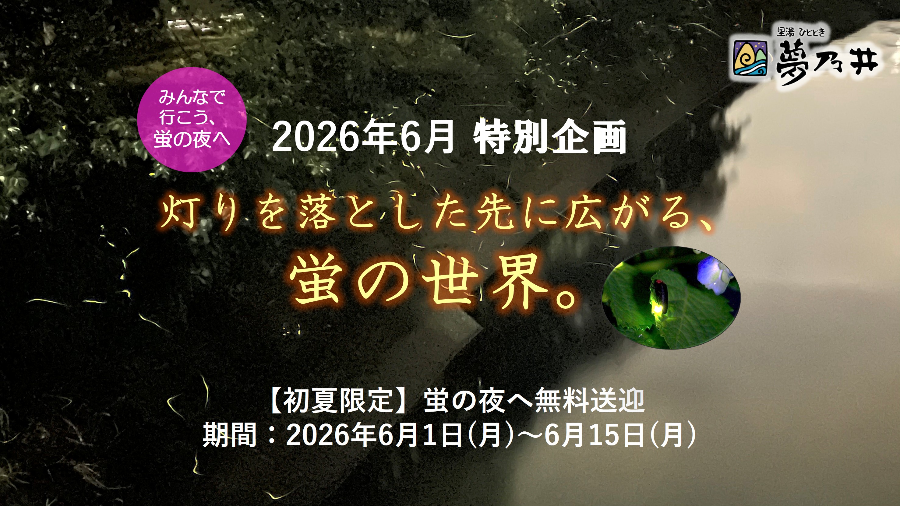当館では、蛍が見頃を迎える時期にあわせて、観賞スポットまでの無料送迎を実施いたします。
幻想的な光が舞うひとときを、ぜひお楽しみください。