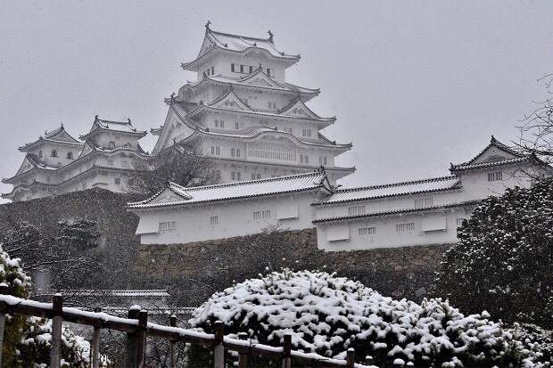 雪の姫路城 夢乃井便り 兵庫 姫路 夢乃井